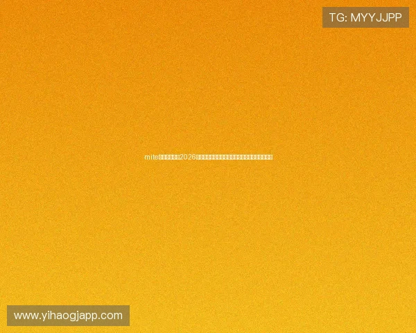 mite娱乐版官网:2026世界杯赛场风云人物盘点与明星球员精彩表现分析